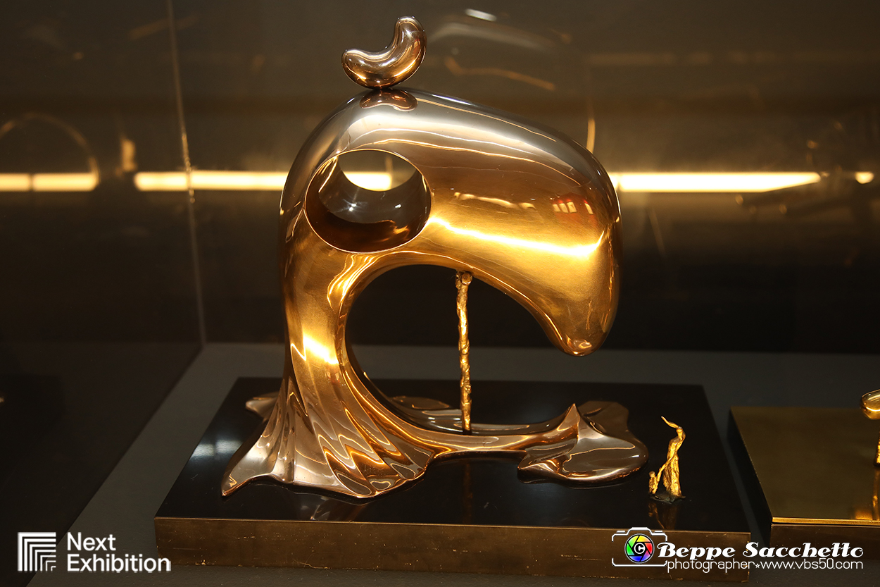 VBS_7732 - Salvador Dalì - The Exhibition.jpg